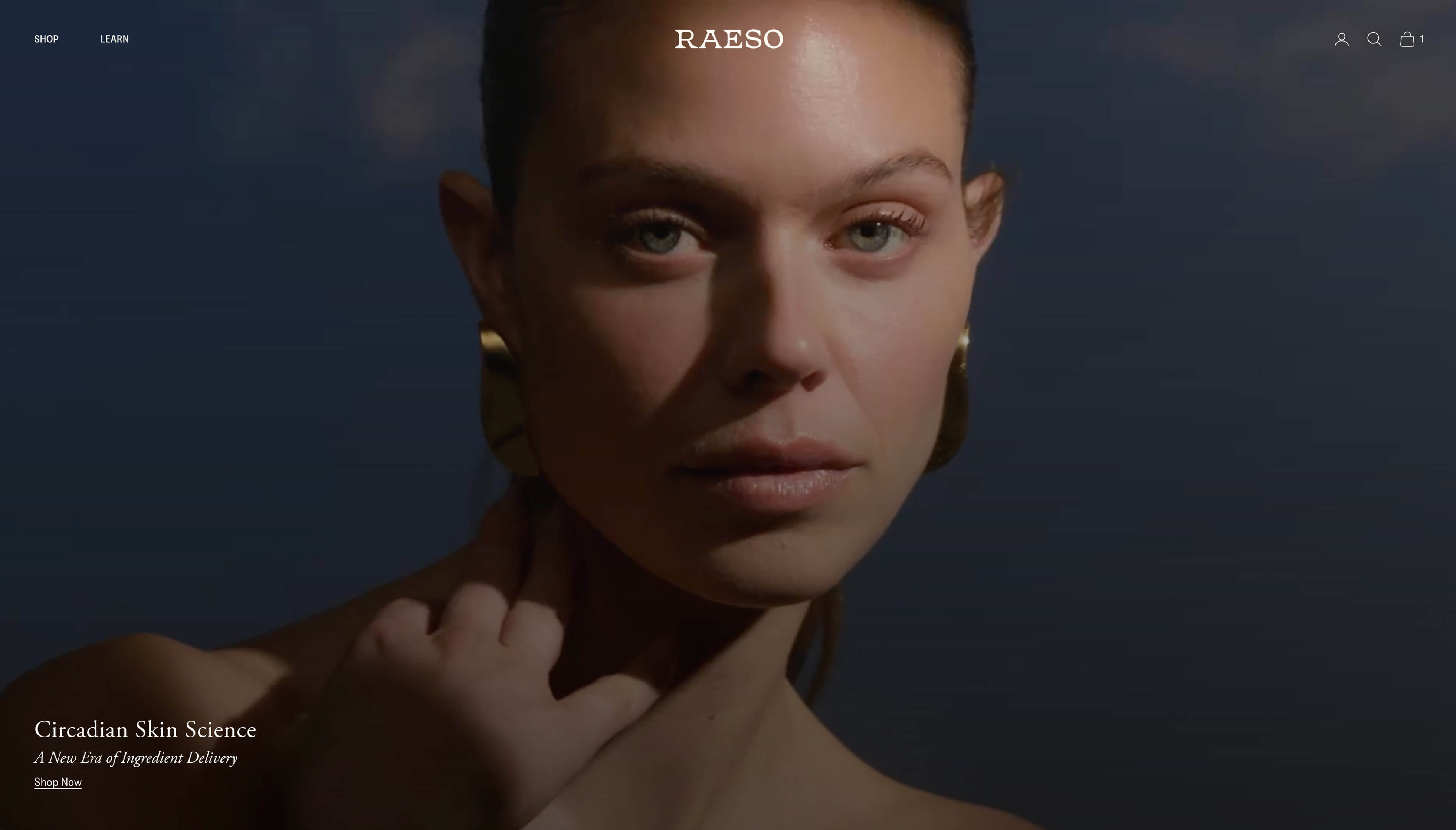 RAESO